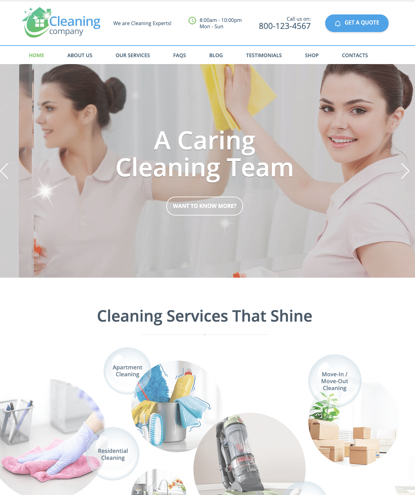 cleaning website